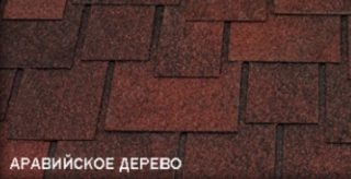 Фото катепал эмбиент аравийское дерево (Katepal Ambient) цена купить киев дешево - АРЕМБУД